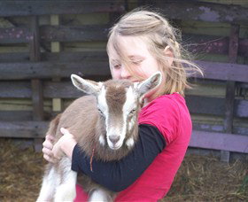 Eden Orchard And Farmstay - Accommodation QLD 2