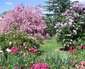 Elmshurst - Accommodation QLD 0