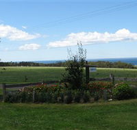 Blueberry B  B - Accommodation QLD