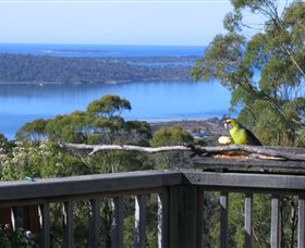 Bed In The Treetops - Accommodation QLD 2