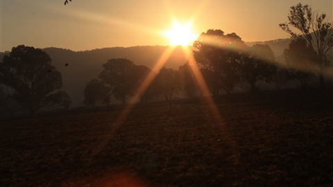 Gentle Annie Caravan And Camping Reserve - Accommodation QLD 1