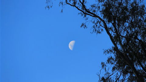 Gentle Annie Caravan And Camping Reserve - Accommodation QLD 4
