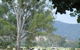 Gentle Annie Caravan And Camping Reserve - thumb 3