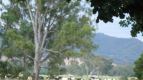 Gentle Annie Caravan And Camping Reserve - Accommodation QLD 3