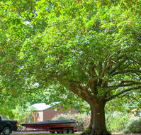 Lakes and Craters Holiday Park - Accommodation QLD