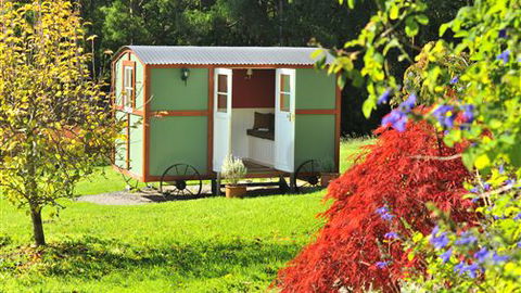 Folly Farm Rural Retreat - Accommodation QLD 2