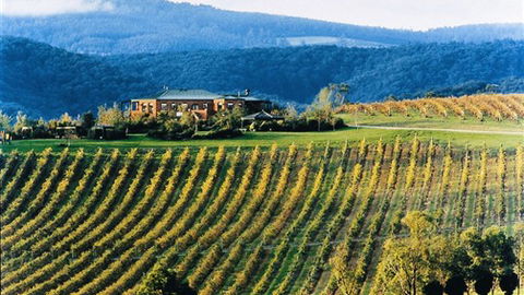 Yering Gorge Cottages - Accommodation QLD 1