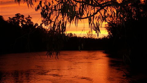 Cadell On The Murray Motel - Accommodation QLD 0