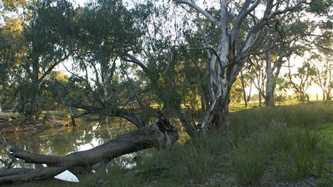 Numurkah Caravan Park - Accommodation QLD 5
