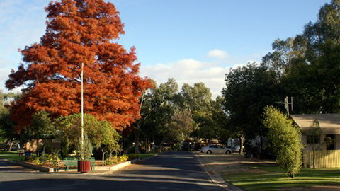 Numurkah Caravan Park - Accommodation QLD 6