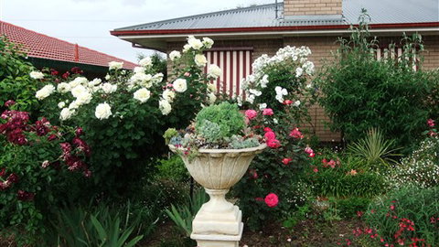 Admurraya House Bed And Breakfast - Accommodation QLD 5
