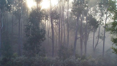 Carinya Park - Accommodation QLD 3