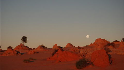 Mungo Lodge - Accommodation QLD 6
