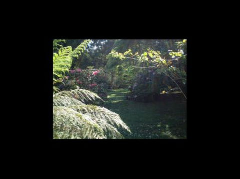 A Country House At Winstanley - Accommodation QLD 4