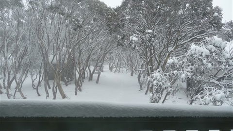 Leeton Lodge - Accommodation QLD 6