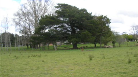 Auberge Woodend - Accommodation QLD 3