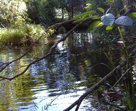 Mary Anns Cottage - Accommodation QLD 1