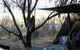 Main Beach Foreshore Camping Grounds - thumb 0