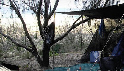 Main Beach Foreshore Camping Grounds - Accommodation QLD 0