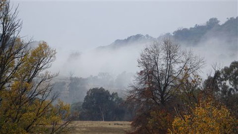 Black Horse Park - Accommodation QLD 3