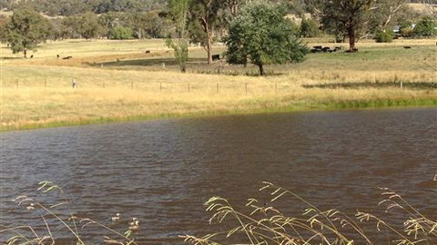 Black Horse Park - Accommodation QLD 4