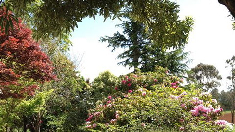 Chestnut Springs - Accommodation QLD 2