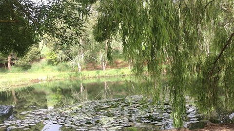 Chestnut Springs - Accommodation QLD 7