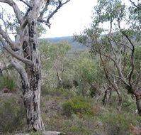 The Glen - Accommodation QLD