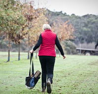 Black Cat Cottage - Accommodation QLD