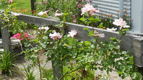 Willy's Holiday House - Accommodation QLD 4