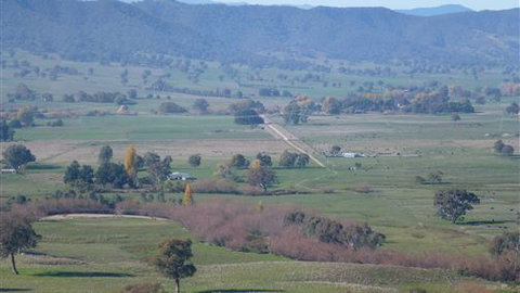 Willy's Holiday House - Accommodation QLD 5