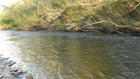 Willy's Holiday House - Accommodation QLD 6