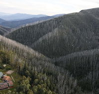 Howmans Gap Alpine Centre YMCA - Accommodation QLD