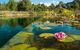 Planetrees Estate  - thumb 0