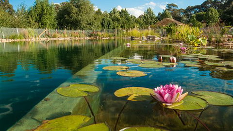 Planetrees Estate  - Accommodation QLD 0