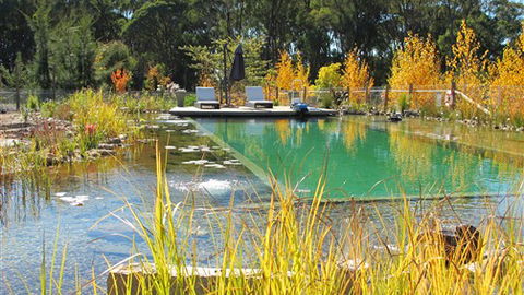 Planetrees Estate  - Accommodation QLD 5