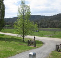 Glenmore Springs Accommodation - Accommodation QLD