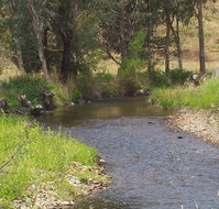 Murphy's Cabin - Accommodation QLD