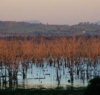 Salisbury - Accommodation QLD