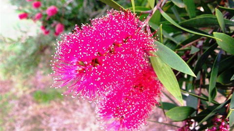 Sweetwater Stays Rural Retreat - Accommodation QLD 4