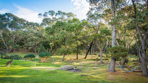 Serenity Halls Gap: Nat Park Frontage - Accommodation QLD 7