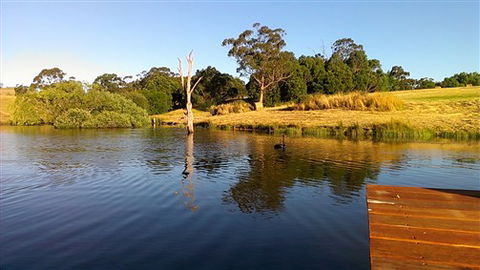 Cygnet Park Country Retreat - Accommodation QLD 4