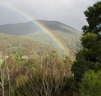 Wattletree Cottage - Accommodation QLD