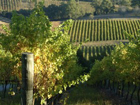 Upper Sturt SA Accommodation QLD