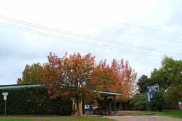Allambie Motel Pty Ltd - Accommodation QLD 0