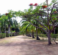 Alva Beach Tourist Park - Accommodation QLD
