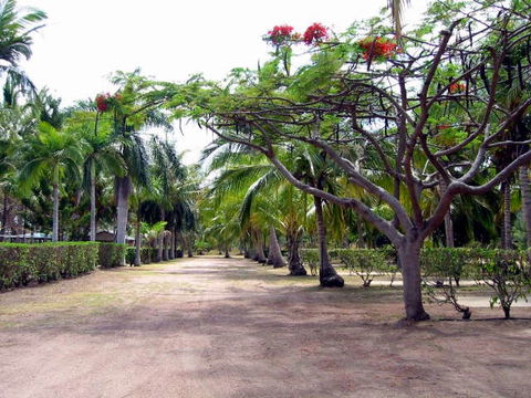 Alva Beach Tourist Park - Accommodation QLD 0