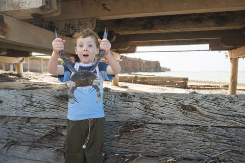 Ardrossan Caravan Park - Accommodation QLD 6