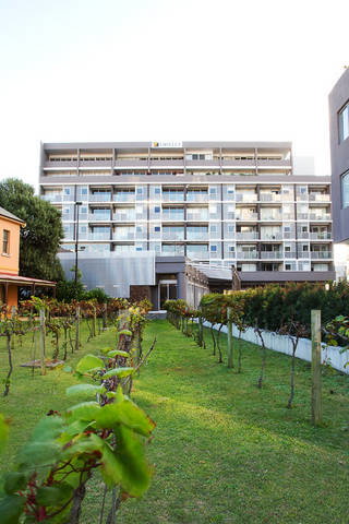 B7 Honeysuckle Apartments - Accommodation QLD 1