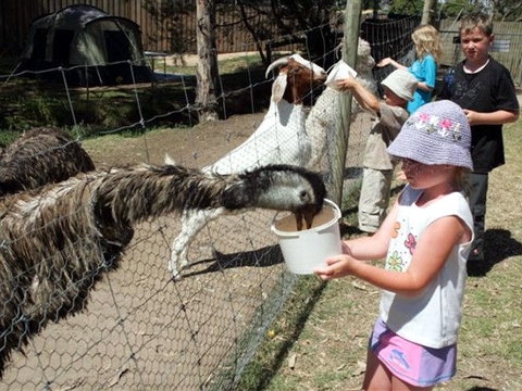 BIG4 Bairnsdale Holiday Park - Accommodation QLD 0